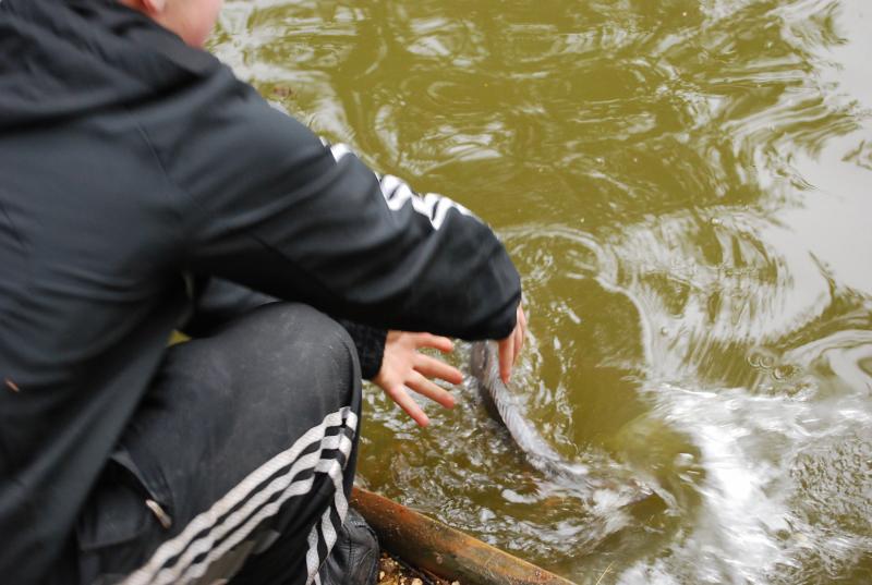 Manor Farm Coarse Fishing Anglers of the Future (62).jpg